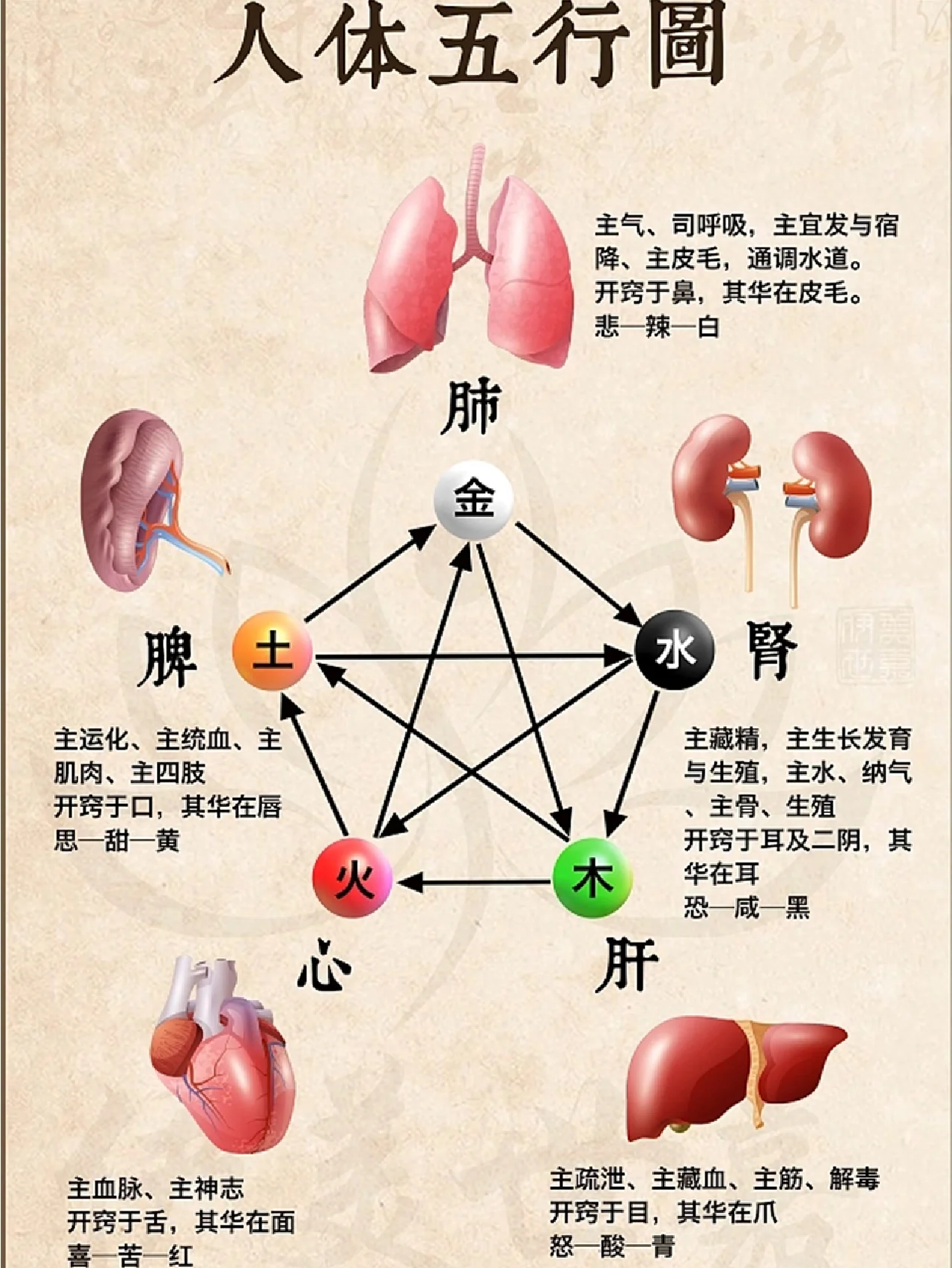 下载中心 第22页