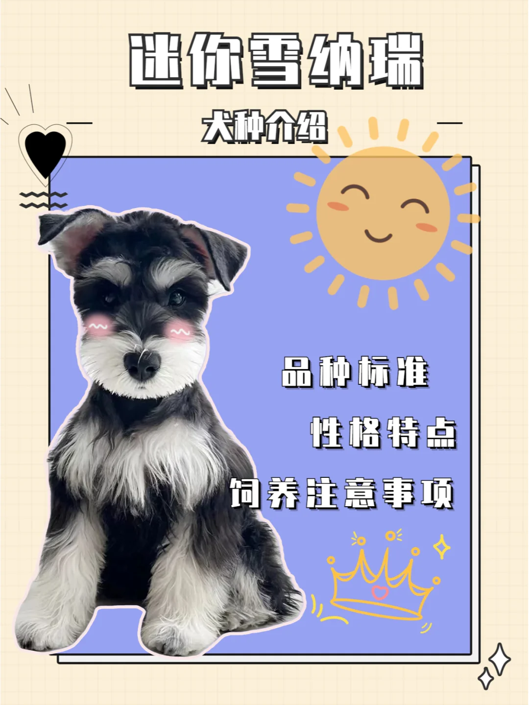 雪纳瑞寿命