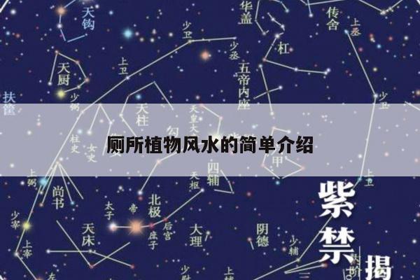厕所植物风水的简单介绍