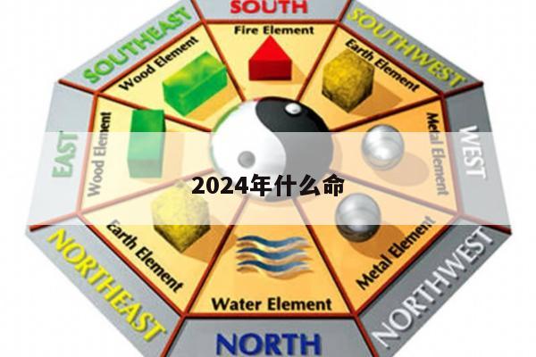 2024年什么命