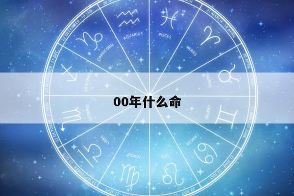 00年什么命