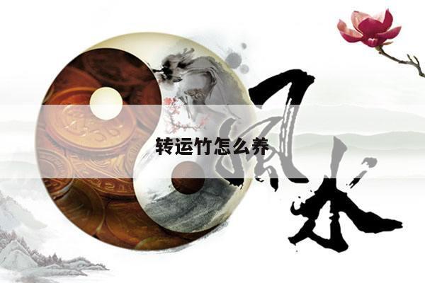转运竹怎么养