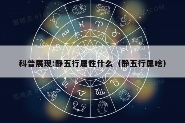 科普展现:静五行属性什么（静五行属啥）