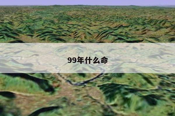 99年什么命