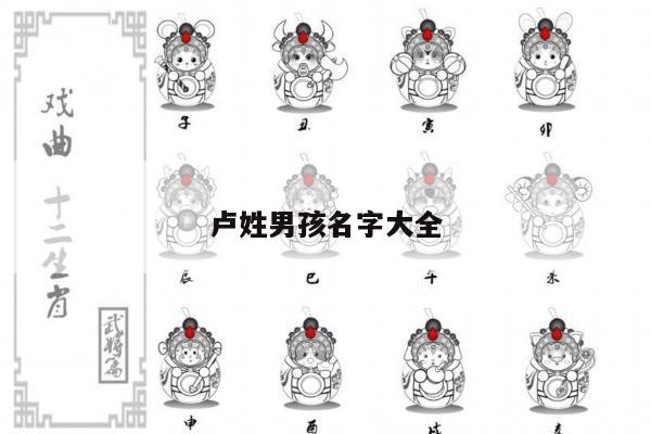 卢姓男孩名字大全