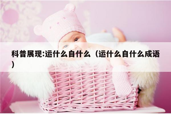 科普展现:运什么自什么（运什么自什么成语）