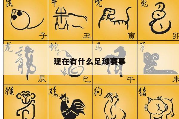 现在有什么足球赛事