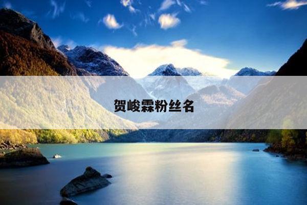 贺峻霖粉丝名