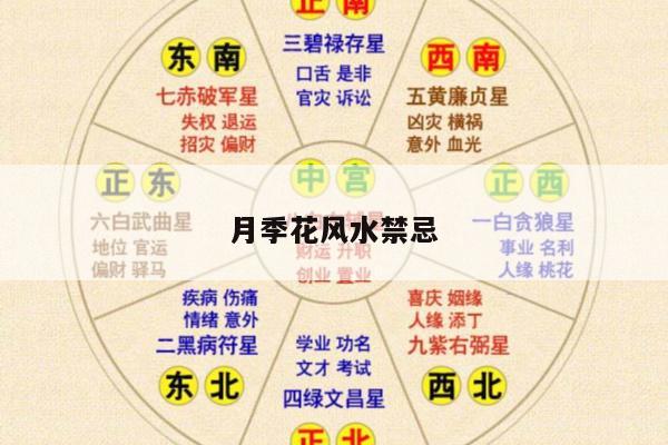 月季花风水禁忌