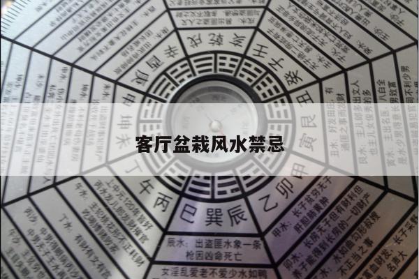 客厅盆栽风水禁忌