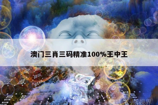 澳门三肖三码精准100%王中王