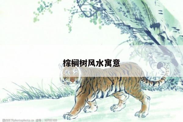 棕榈树风水寓意