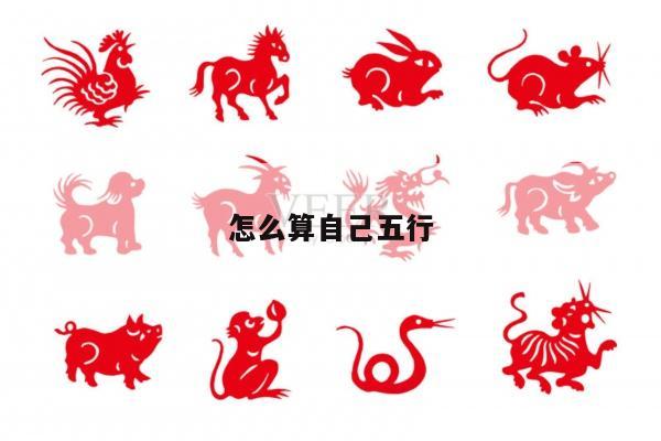 怎么算自己五行