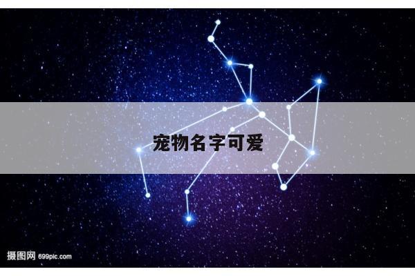 宠物名字可爱