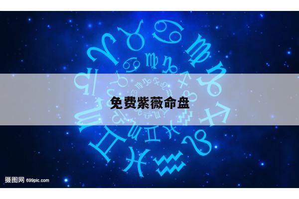 免费紫薇命盘