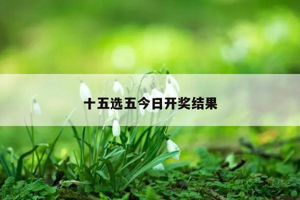 十五选五今日开奖结果