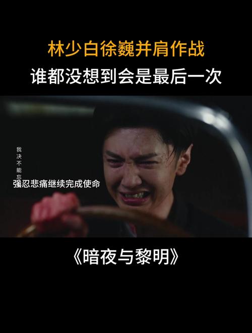 暗夜与黎明在哪个视频播放,暗夜与黎明在哪个视频播放的