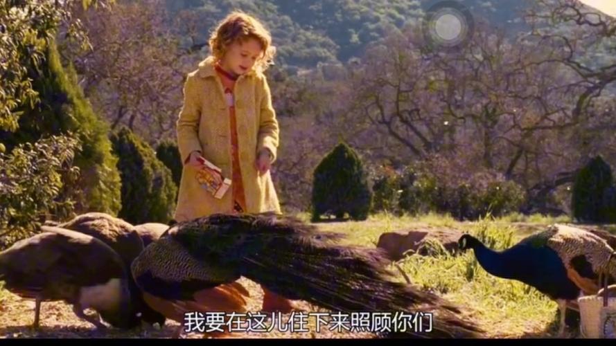 我家买了动物园,我家买了动物园免费观看完整版