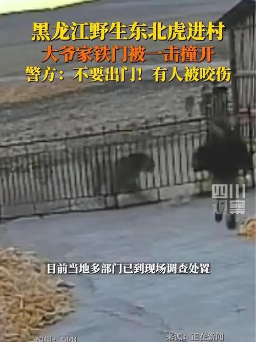 黑龙江监控高清,黑龙江监控录像