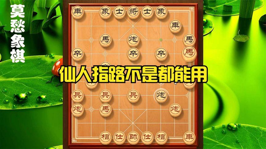 仙人指路论坛澳门网址是什么,仙人指路全网高手资料