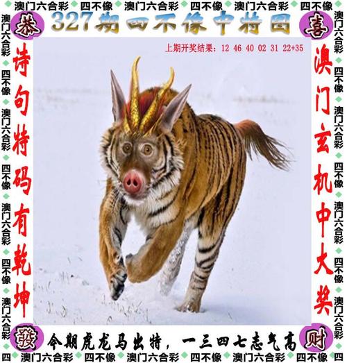 新澳门六开彩历史记录,