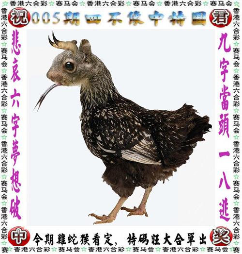 凌波微步解跑狗图玄机,凌波微步解跑狗图玄机最新一期