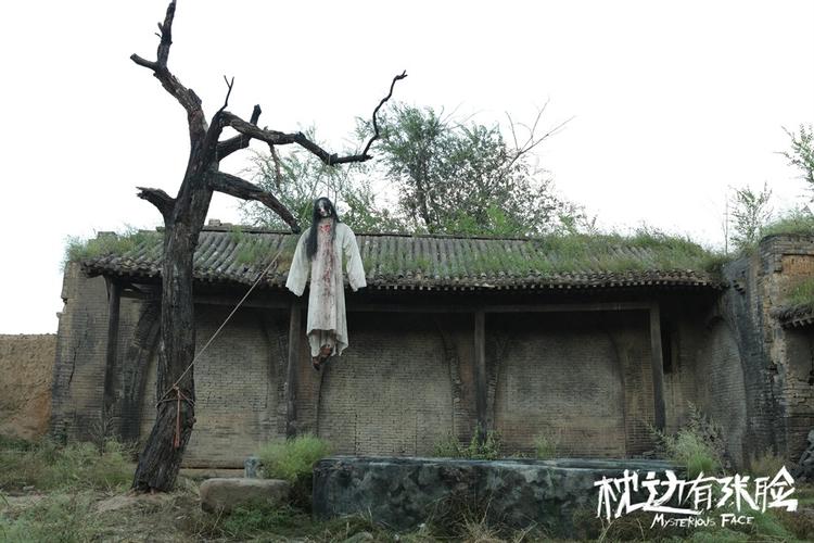 枕边有张脸2,枕边有张脸2电影免费观看