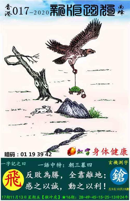 香港正版马会精选资料大全,香港正版马会精选资料大全南方生肖有几个