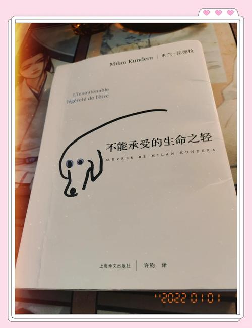 恋爱不能承受之轻,恋爱不能承受之轻重