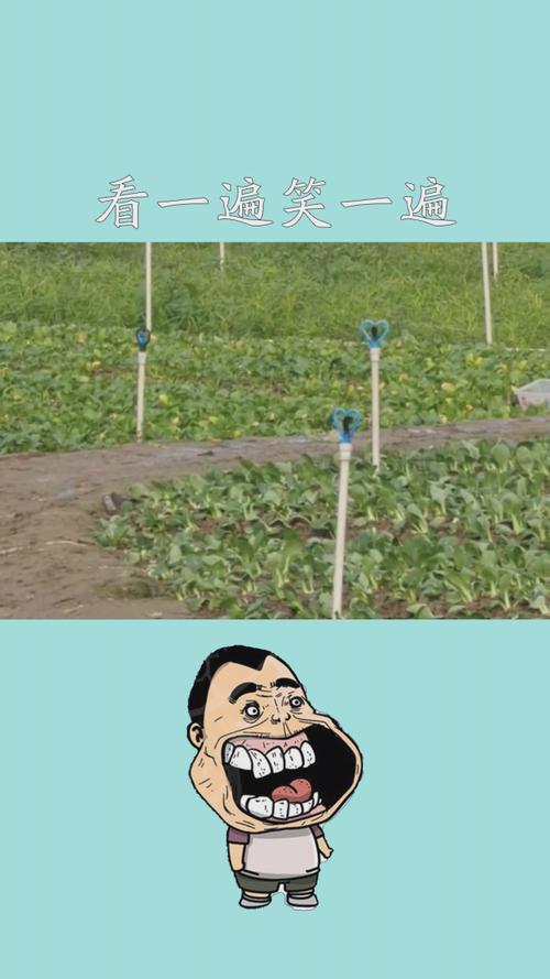 下载中心 第4页