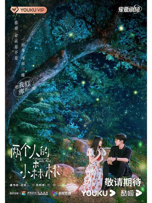 《两个人的小森林》免费高清完整版,《两个人的小森林》免费高清完整版在线观看