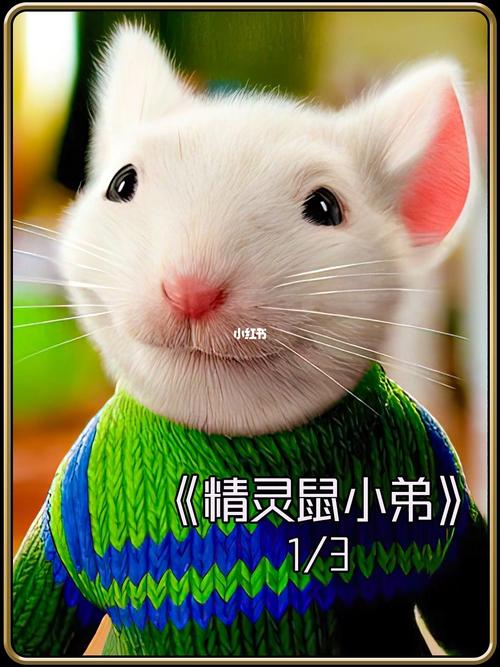 精灵鼠小弟2国语版电影说普通话,精灵鼠小弟二国语版