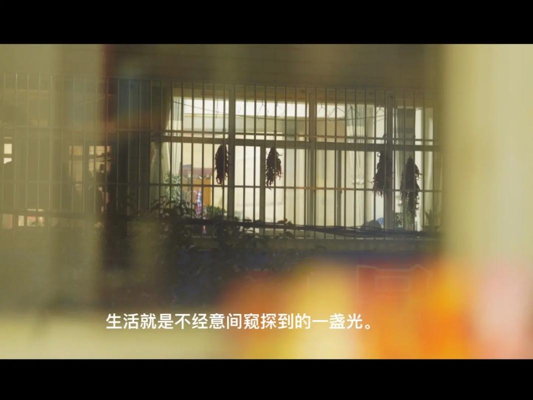 摩根先生最后的爱,摩根先生最后的爱在哪里看